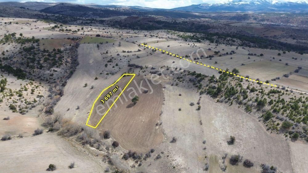 Ilgın Yukarıçiğilde 3.697 M2 Müstakil Tapulu Tarla - Görsel 3