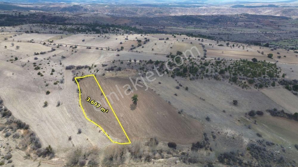 Ilgın Yukarıçiğilde 3.697 M2 Müstakil Tapulu Tarla - Görsel 5