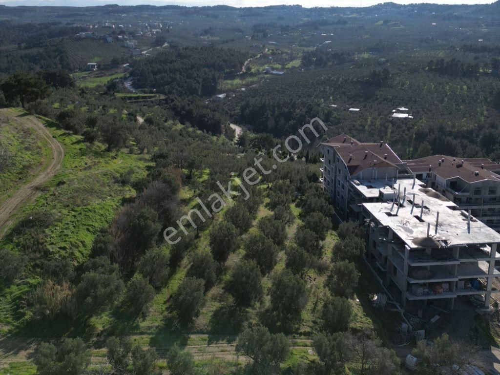 Elfi'den Güzelyalı Burgaz'da Deniz Manzaralı 2.680m2 İmarlı Arsa - Görsel 10