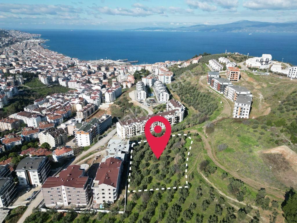 Elfi'den Güzelyalı Burgaz'da Deniz Manzaralı 2.680m2 İmarlı Arsa - Görsel 2