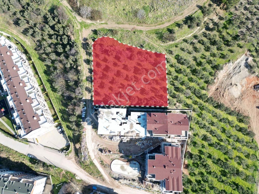 Elfi'den Güzelyalı Burgaz'da Deniz Manzaralı 2.680m2 İmarlı Arsa - Görsel 6