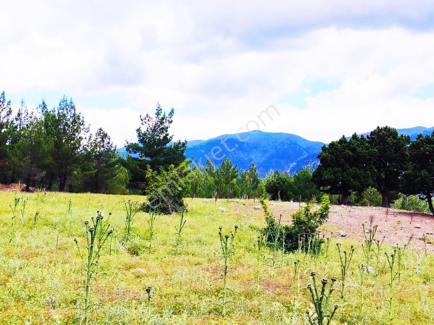 Kar Emlaktan Alpu Yaylasında 480 M2 Satılık İmarlı İfrazlı Arsa - Görsel 25