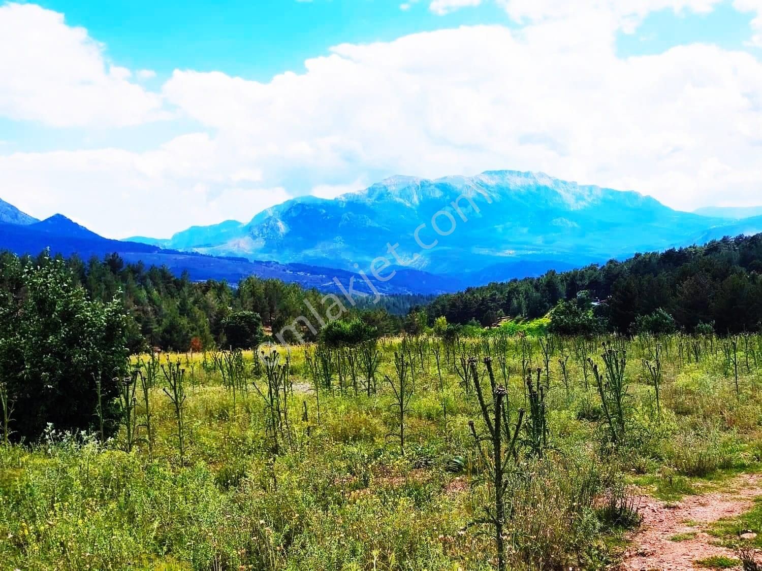 Kar Emlaktan Alpu Yaylasında 480 M2 Satılık İmarlı İfrazlı Arsa - Görsel 5