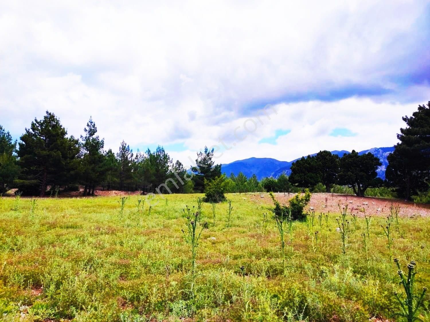 Kar Emlaktan Alpu Yaylasında 480 M2 Satılık İmarlı İfrazlı Arsa - Görsel 30