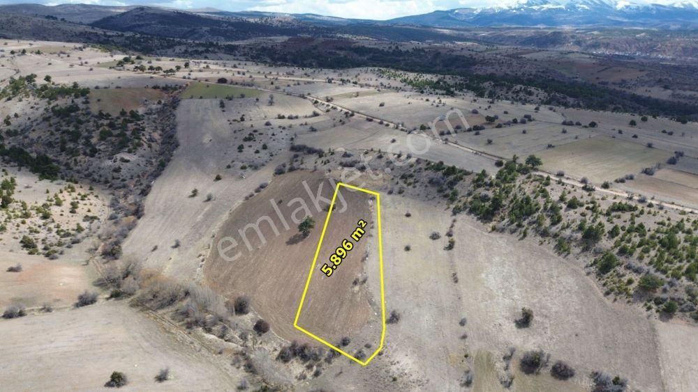 Ilgın Yukarıçiğilde 5.896 M2 Müstakil Tapulu Tarla - Görsel 5