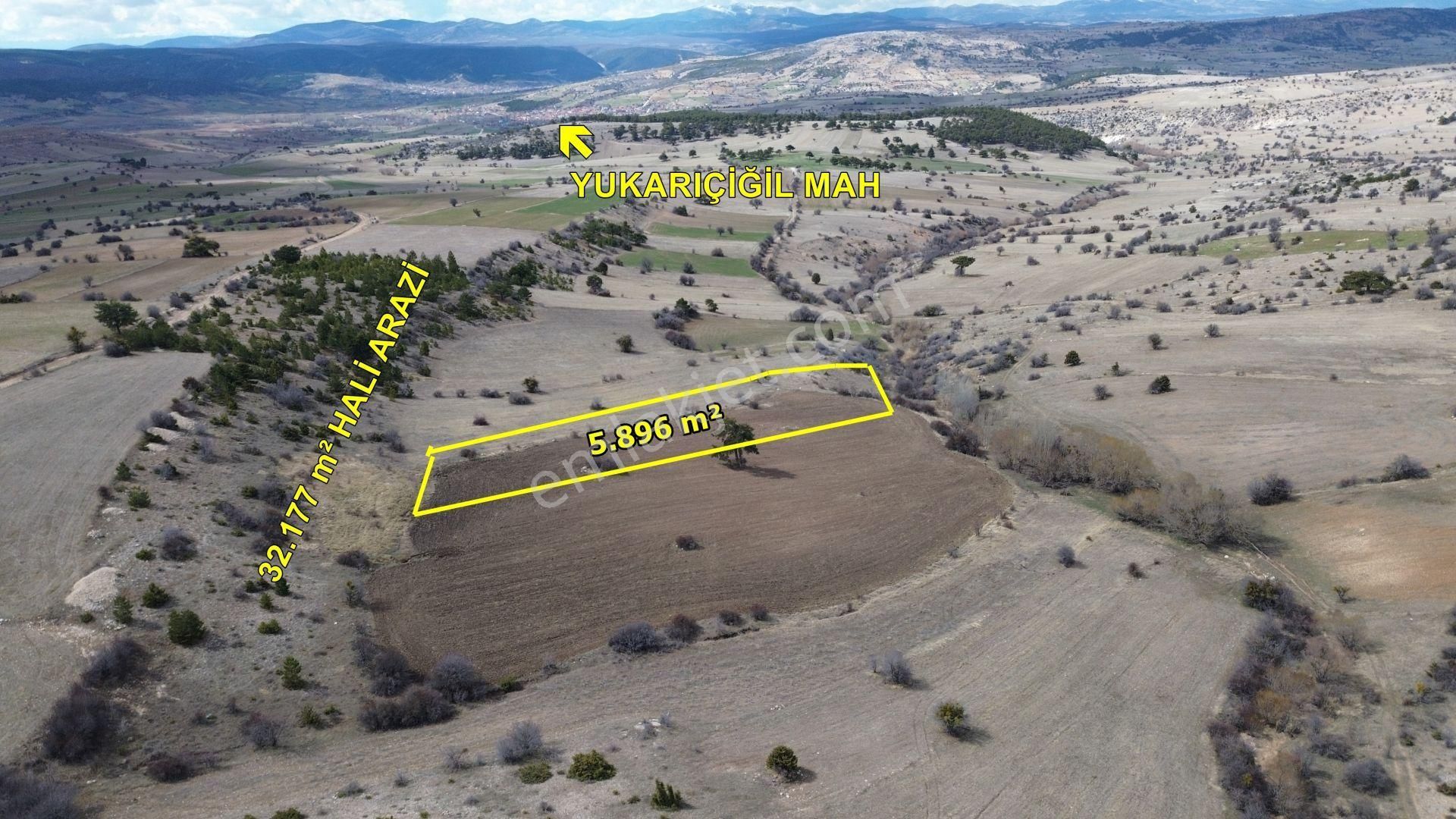 Ilgın Yukarıçiğilde 5.896 M2 Müstakil Tapulu Tarla - Görsel 4