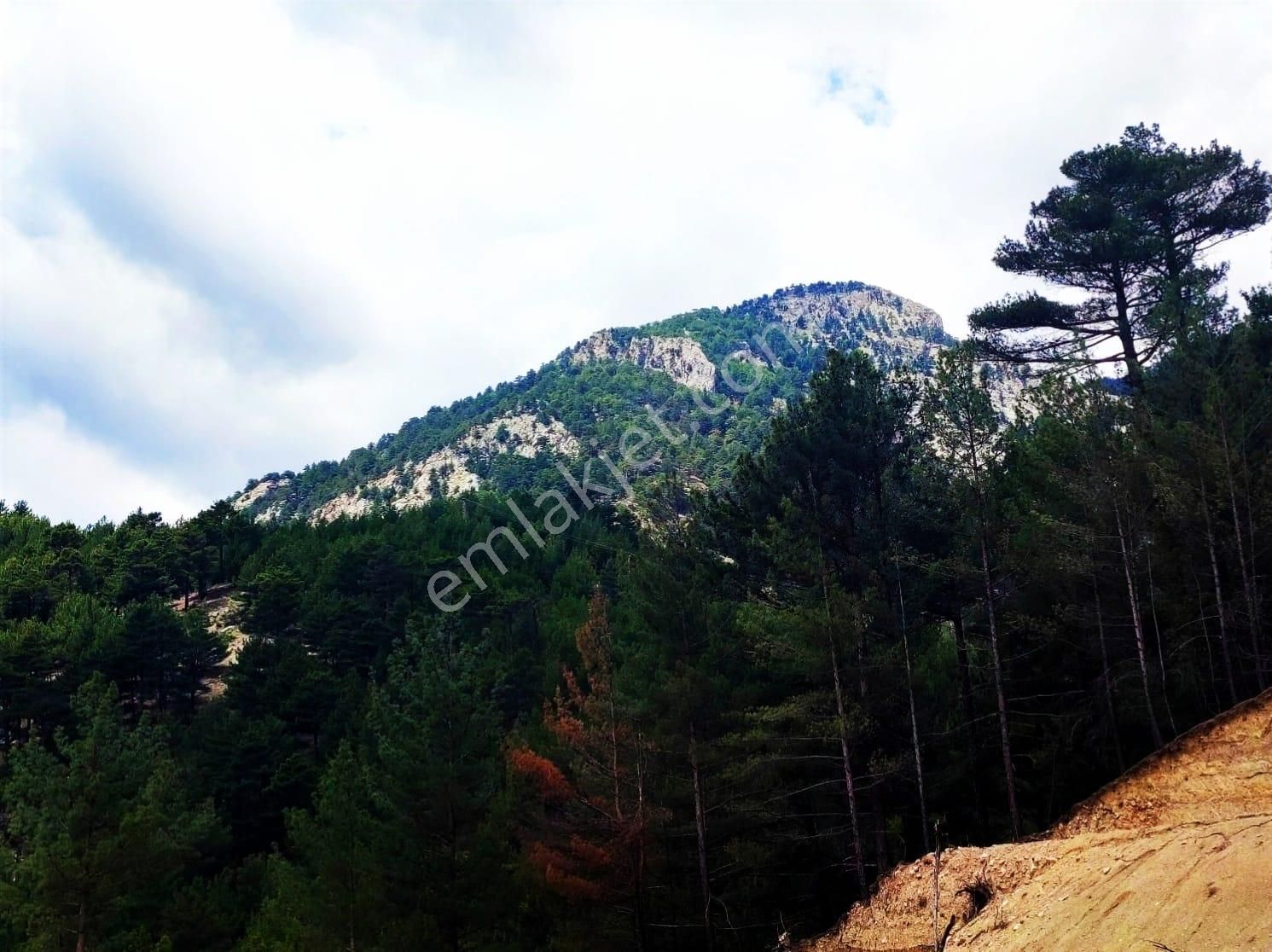 Kar Emlaktan Yenikonacık Körmenlik Mevkiinde 400 M2 İmarlı İfrazlı Satılık Arsa - Görsel 7