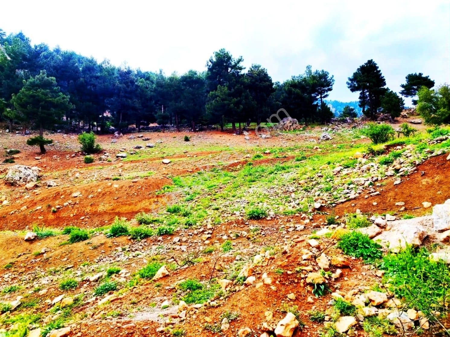 Kar Emlaktan Yenikonacık Bozkırlı Mevkiine 400 M2 Satılı İmarlı İfrazlı Arsa - Görsel 24