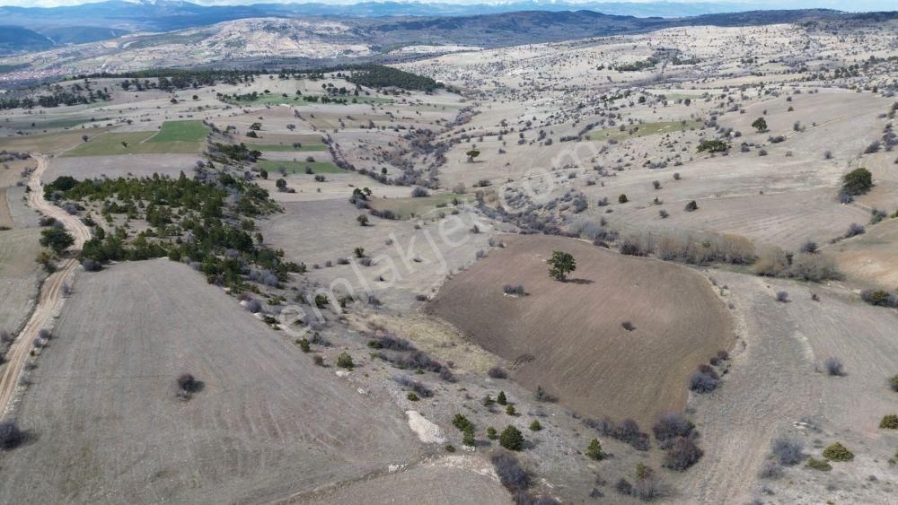 Ilgın Yukarıçiğilde 5.896 M2 Müstakil Tapulu Tarla - Görsel 3