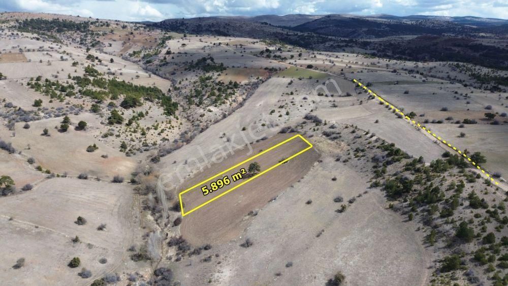 Ilgın Yukarıçiğilde 5.896 M2 Müstakil Tapulu Tarla