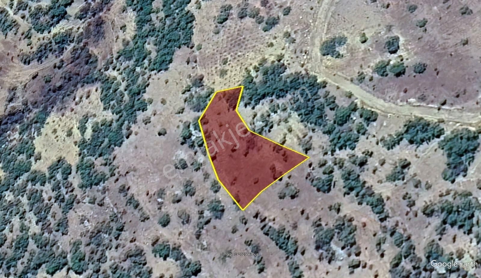 Konya / Hadim / Göynükkışla Mahallesinde 1.228 M² Müstakil Tapulu Bağ