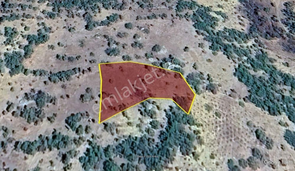 Konya / Hadim / Göynükkışla Mahallesinde 1.228 M² Müstakil Tapulu Bağ - Görsel 5