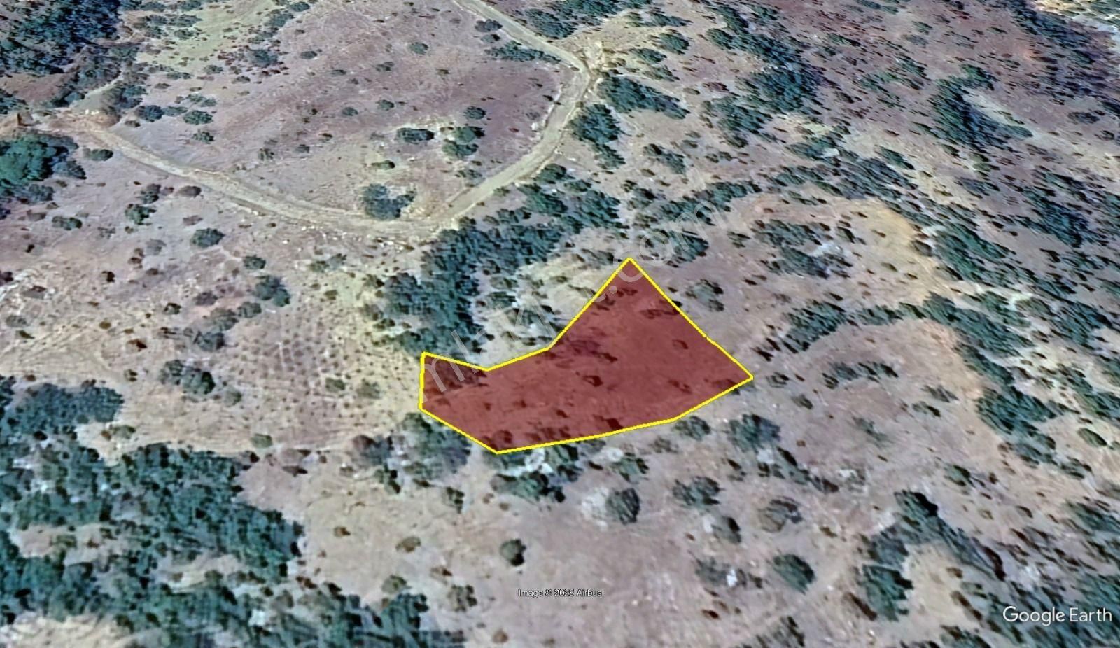 Konya / Hadim / Göynükkışla Mahallesinde 1.228 M² Müstakil Tapulu Bağ - Görsel 2