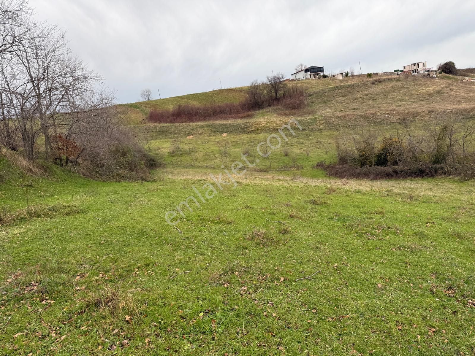 Yağmur Emlak'tan Tekkeköy Yukarıçinikde 2861 M² Tarla - Görsel 3