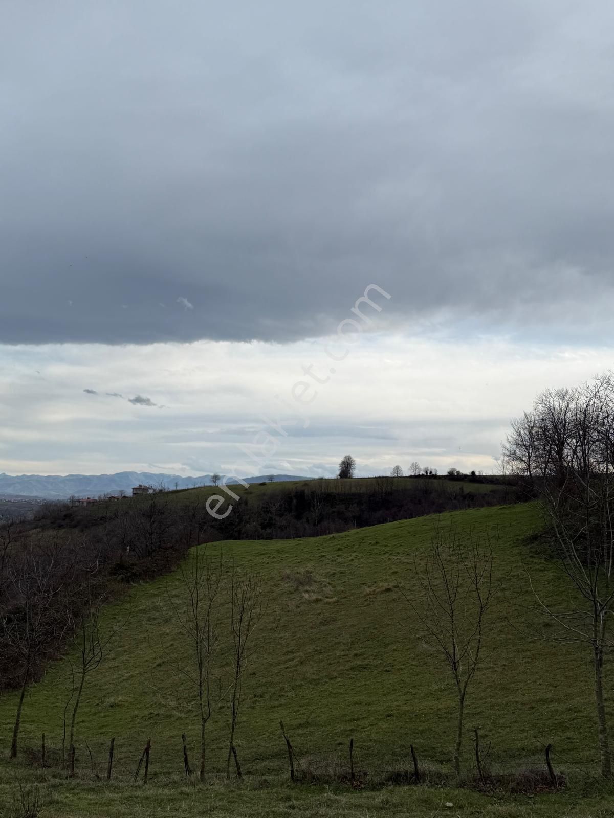 Yağmur Emlak'tan Tekkeköy Yukarıçinikde 2861 M² Tarla - Görsel 4