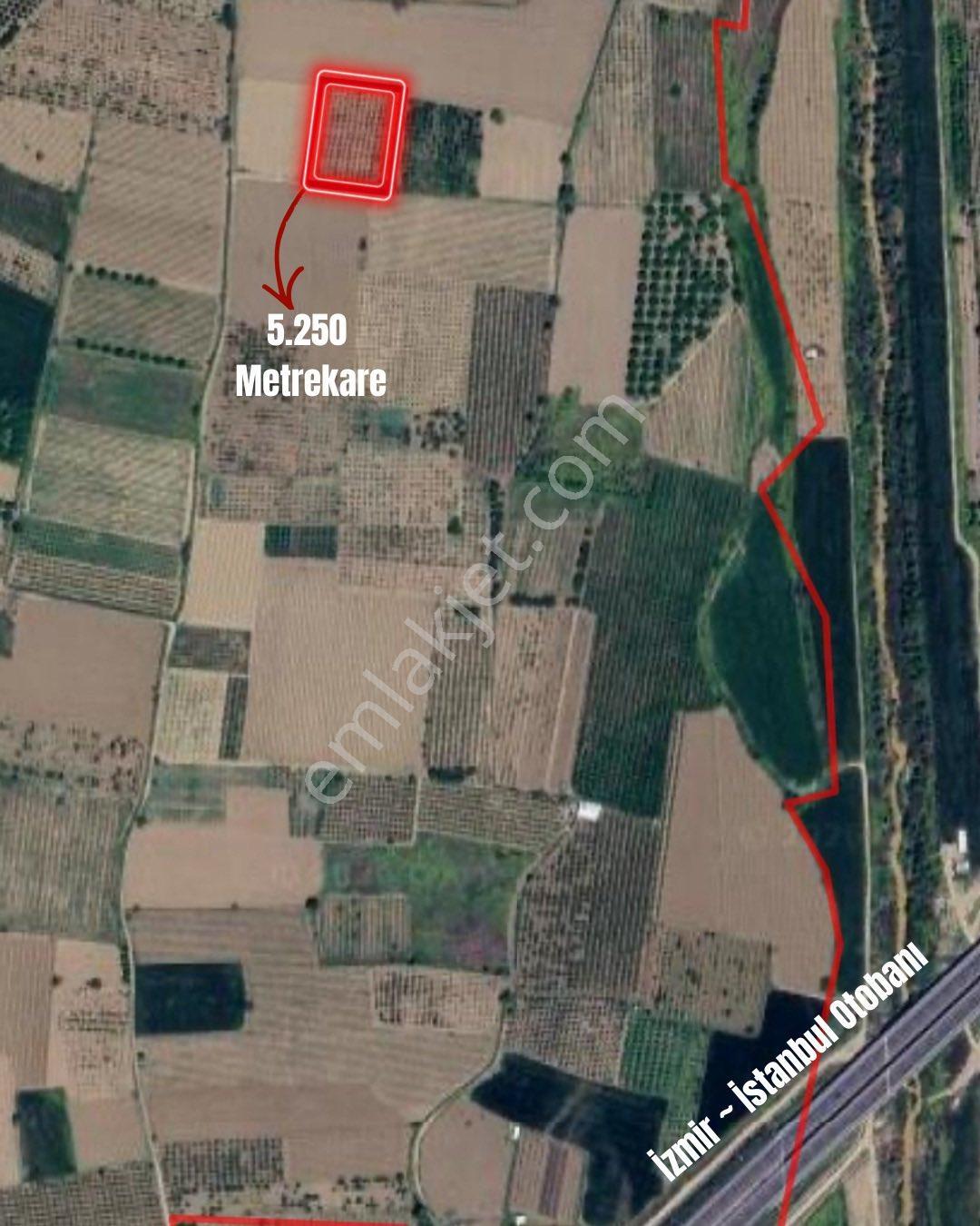 Manisa Şehzadeler Karaoğlanlı’da Satılık 5.250 M² Tarla