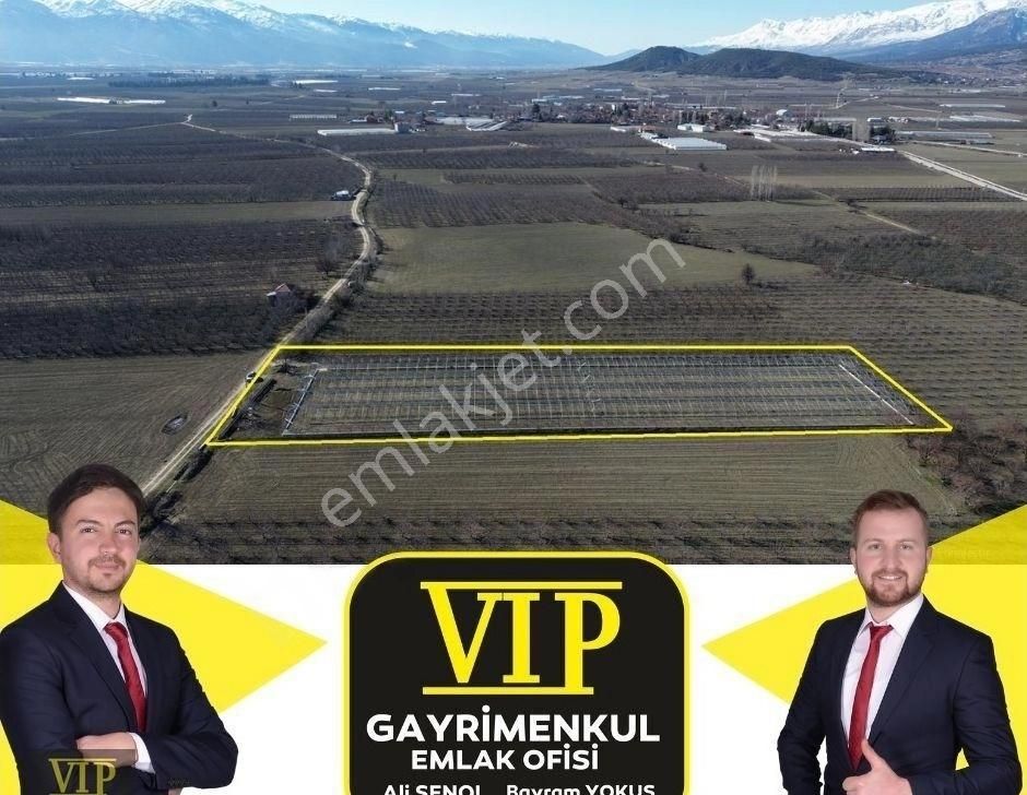 Vip Gayrimenkul'den Pirhasanlar Mah. 6000m² Projeli Sıfır Sera