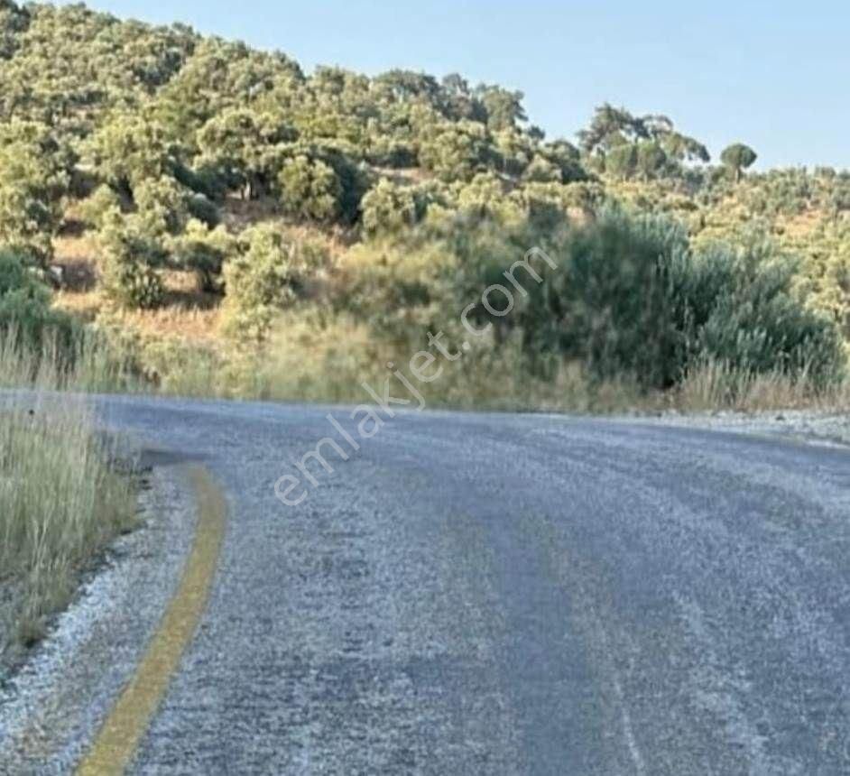 Karpuzlu Tekeler Mahallesinde Satılık Arazi - Görsel 4