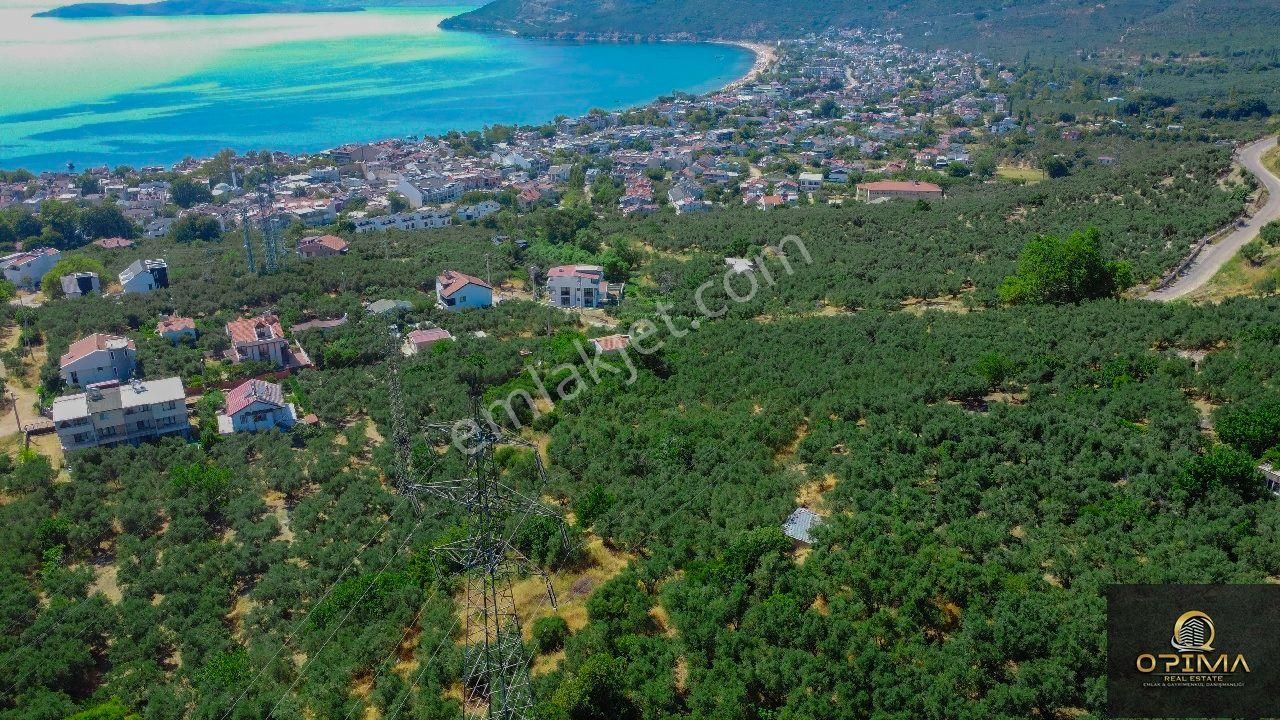 Opima Emlaktan Ocaklar Mahallesinde Yolu Açılmış Deniz Manzaralı Zeytinlik - Görsel 10
