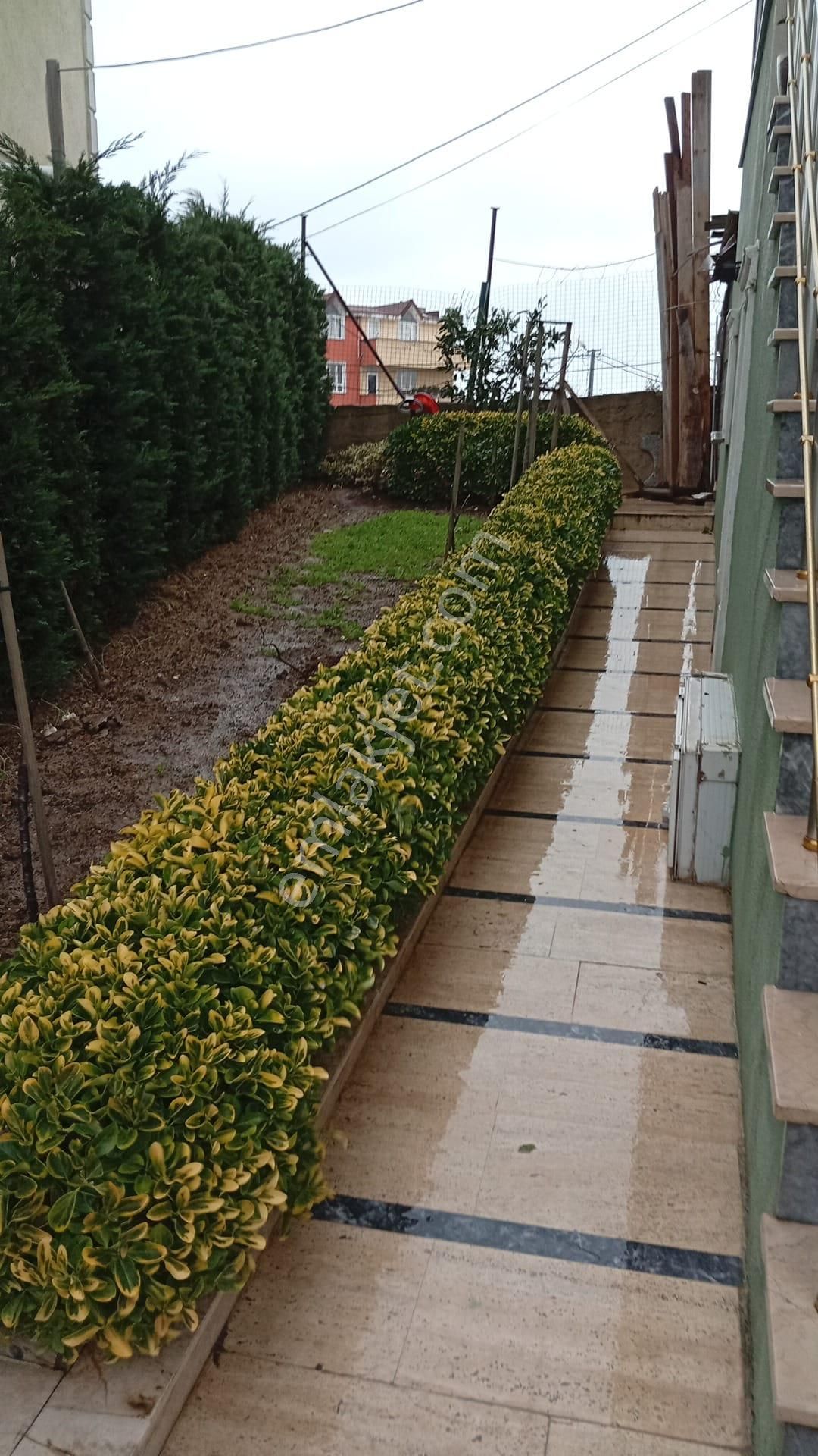 Arnavutköy Karaburun Tribleks Villa 326m2 Fırsat - Görsel 7