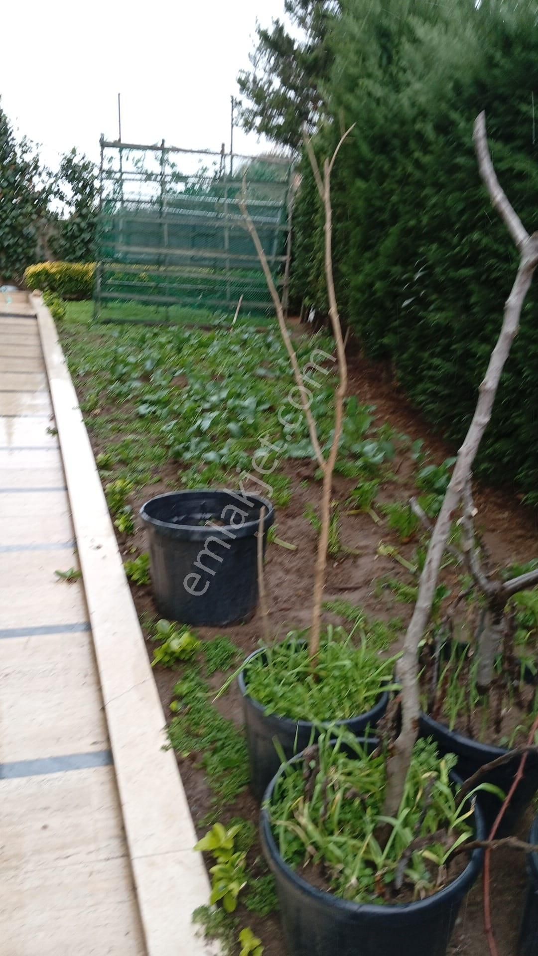 Arnavutköy Karaburun Tribleks Villa 326m2 Fırsat - Görsel 8