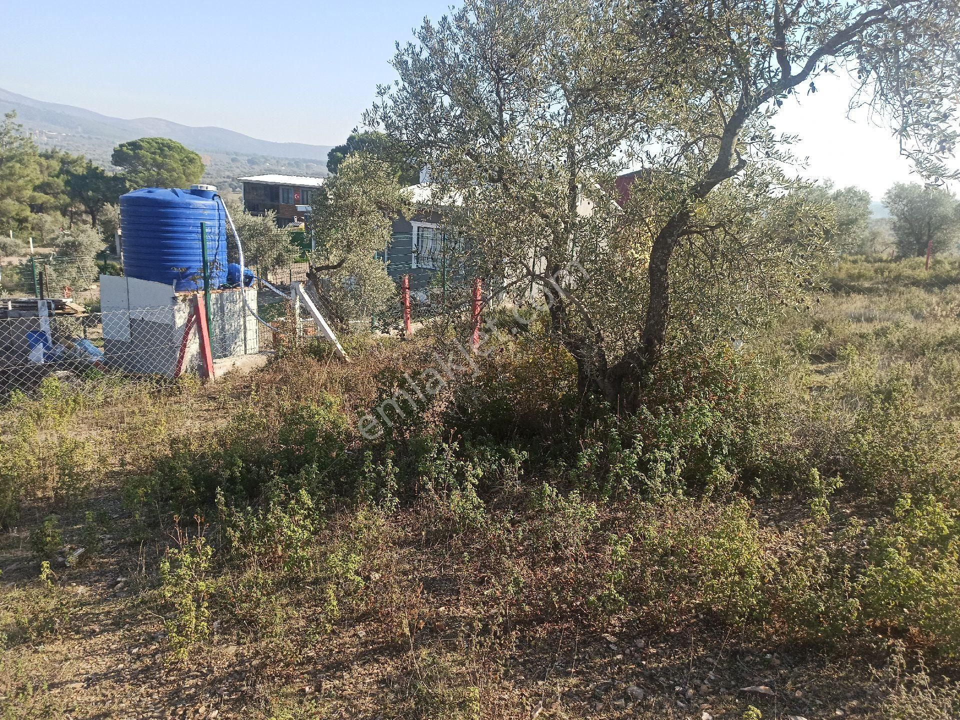 Acil Satılık Tapulu, Elektrik Su Bağlı Köşe Parsel 404m² - Görsel 6