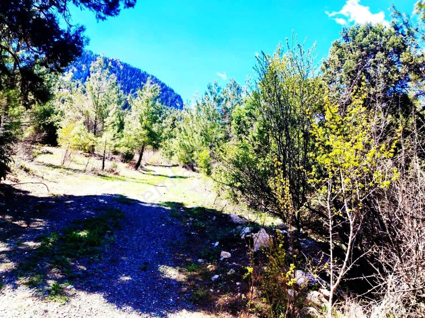 Kar Emlaktan Eskikonacık Çaayır Yaylasında 1 Dönüm Satılık Arsa - Görsel 9