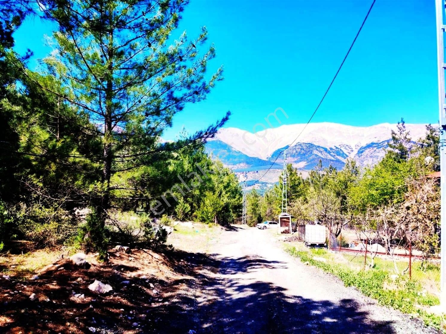 Kar Emlaktan Eskikonacık Çaayır Yaylasında 1 Dönüm Satılık Arsa - Görsel 4