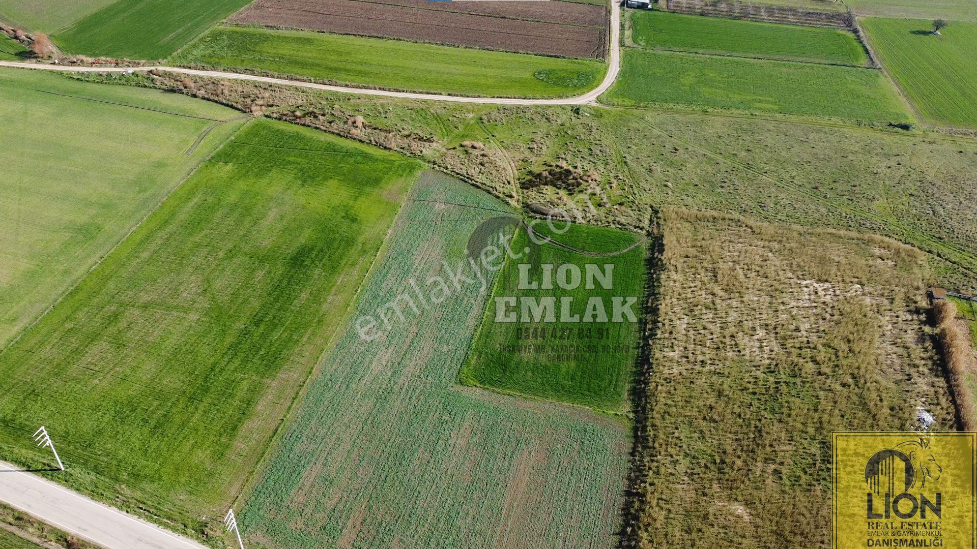 ⬛🟨lıon Emlak'tan Ömerli'de Ana Yola Yakın Satılık 2.600m² Tarla🟨⬛ - Görsel 7