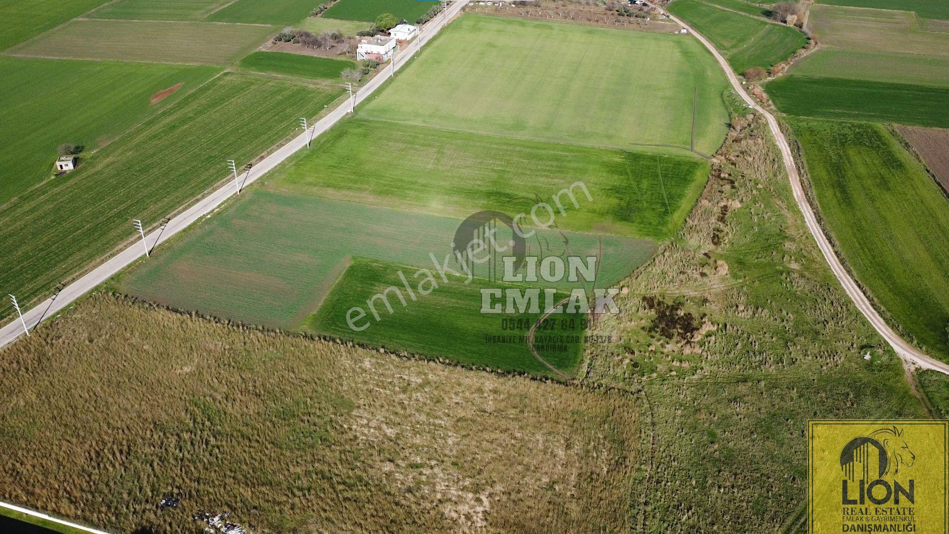 ⬛🟨lıon Emlak'tan Ömerli'de Ana Yola Yakın Satılık 2.600m² Tarla🟨⬛ - Görsel 5