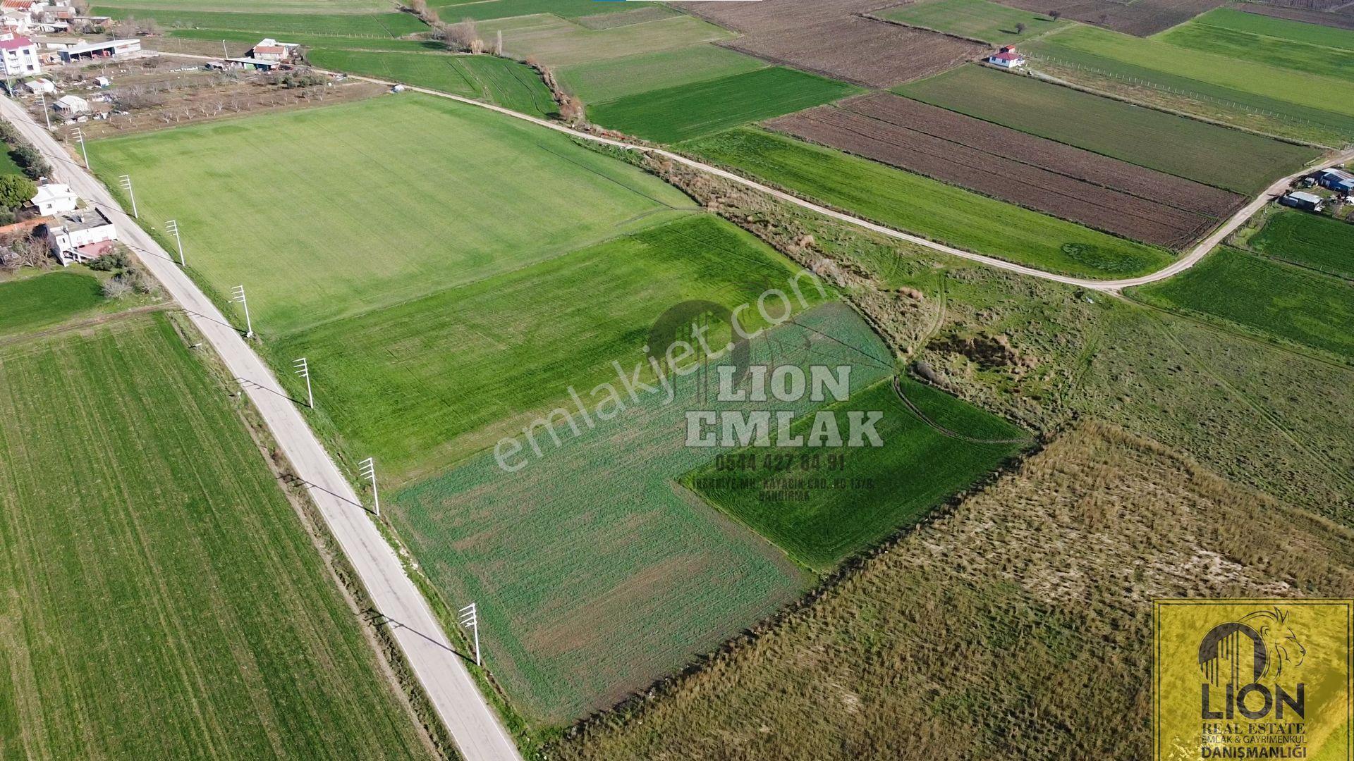 ⬛🟨lıon Emlak'tan Ömerli'de Ana Yola Yakın Satılık 2.600m² Tarla🟨⬛ - Görsel 6