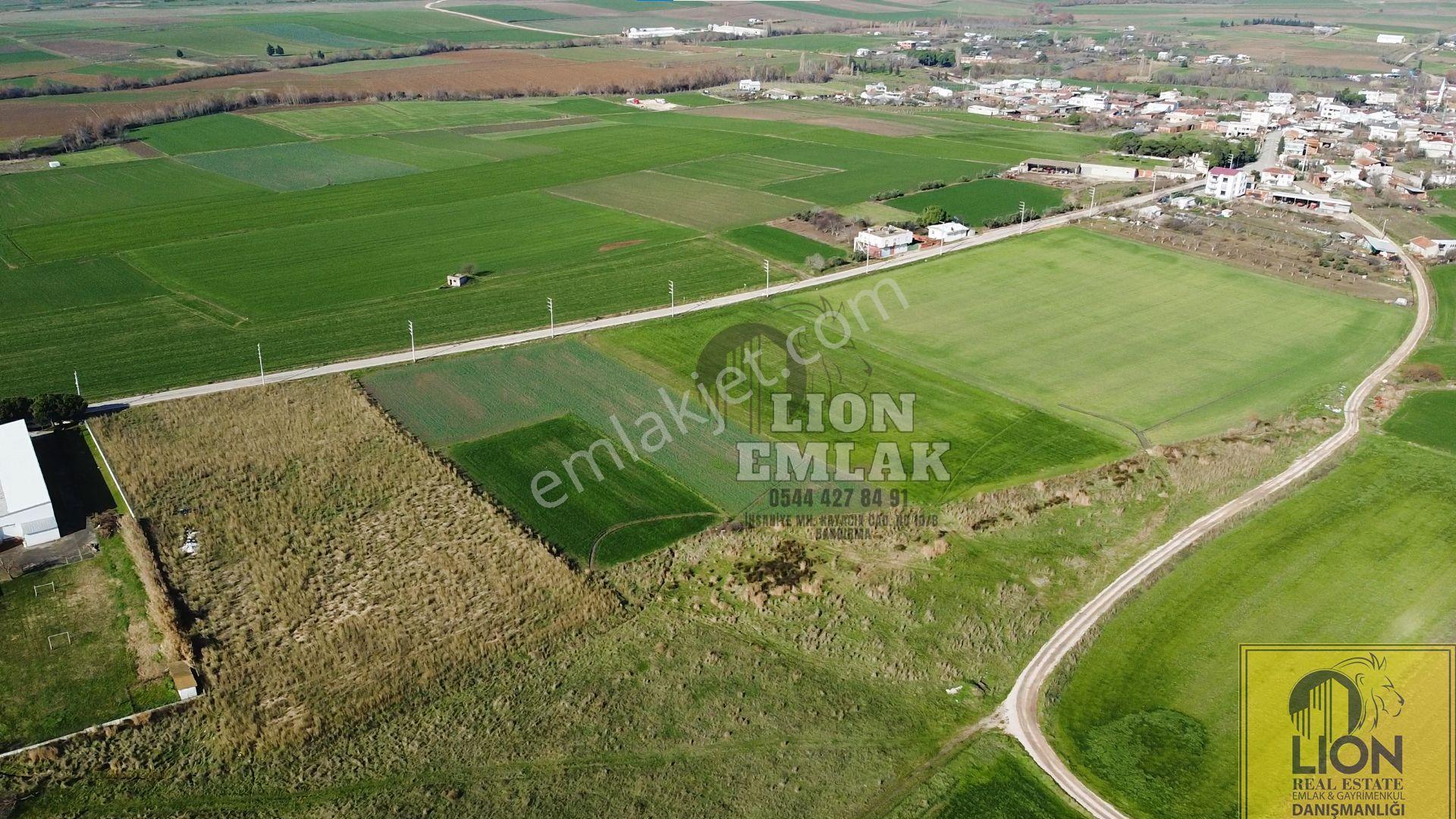 ⬛🟨lıon Emlak'tan Ömerli'de Ana Yola Yakın Satılık 2.600m² Tarla🟨⬛ - Görsel 3
