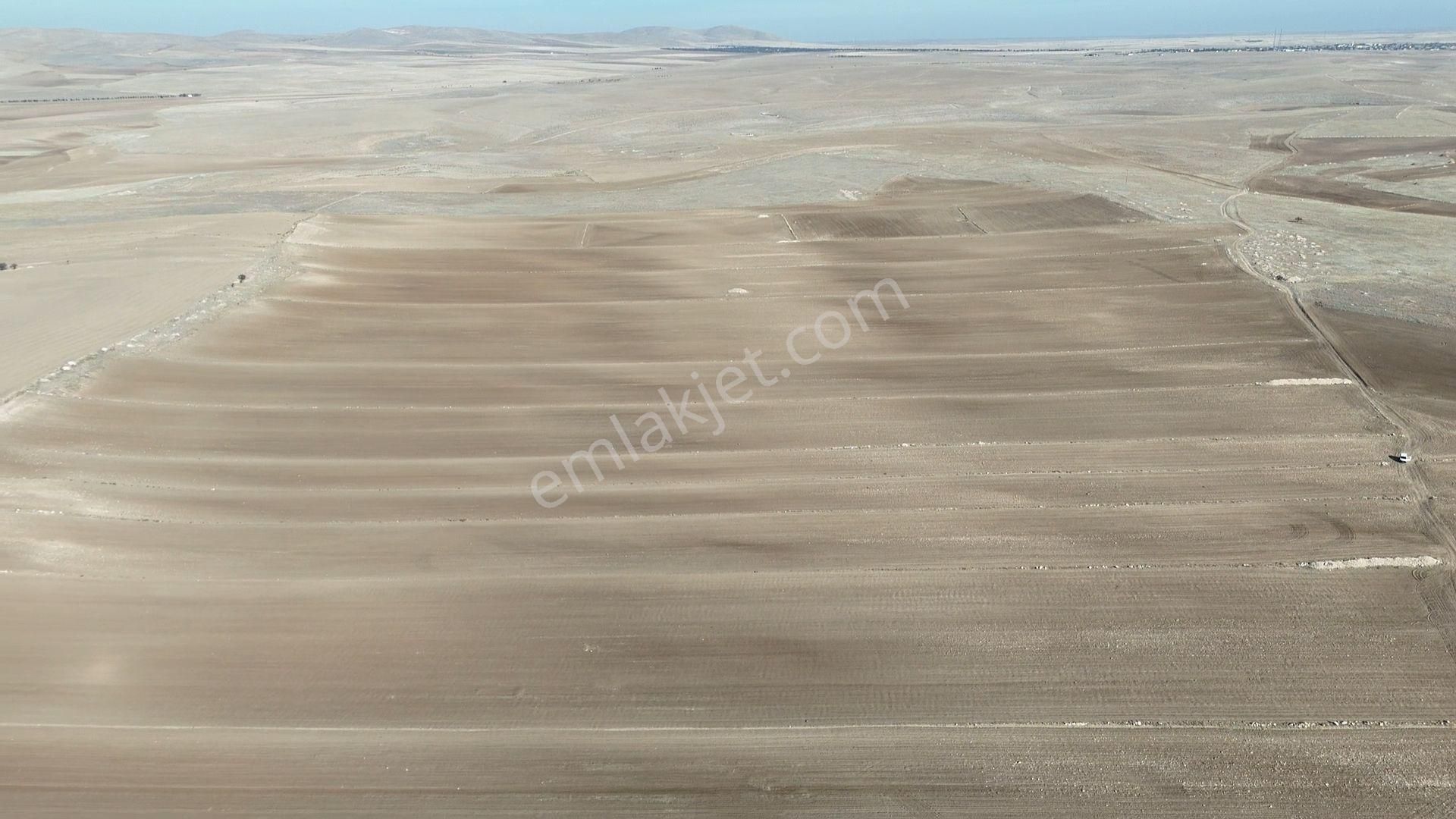Konya / Kadınhanı / Başkuyu Fatih Mahallesinde 10.494 M² Müstakil Tarala - Görsel 2