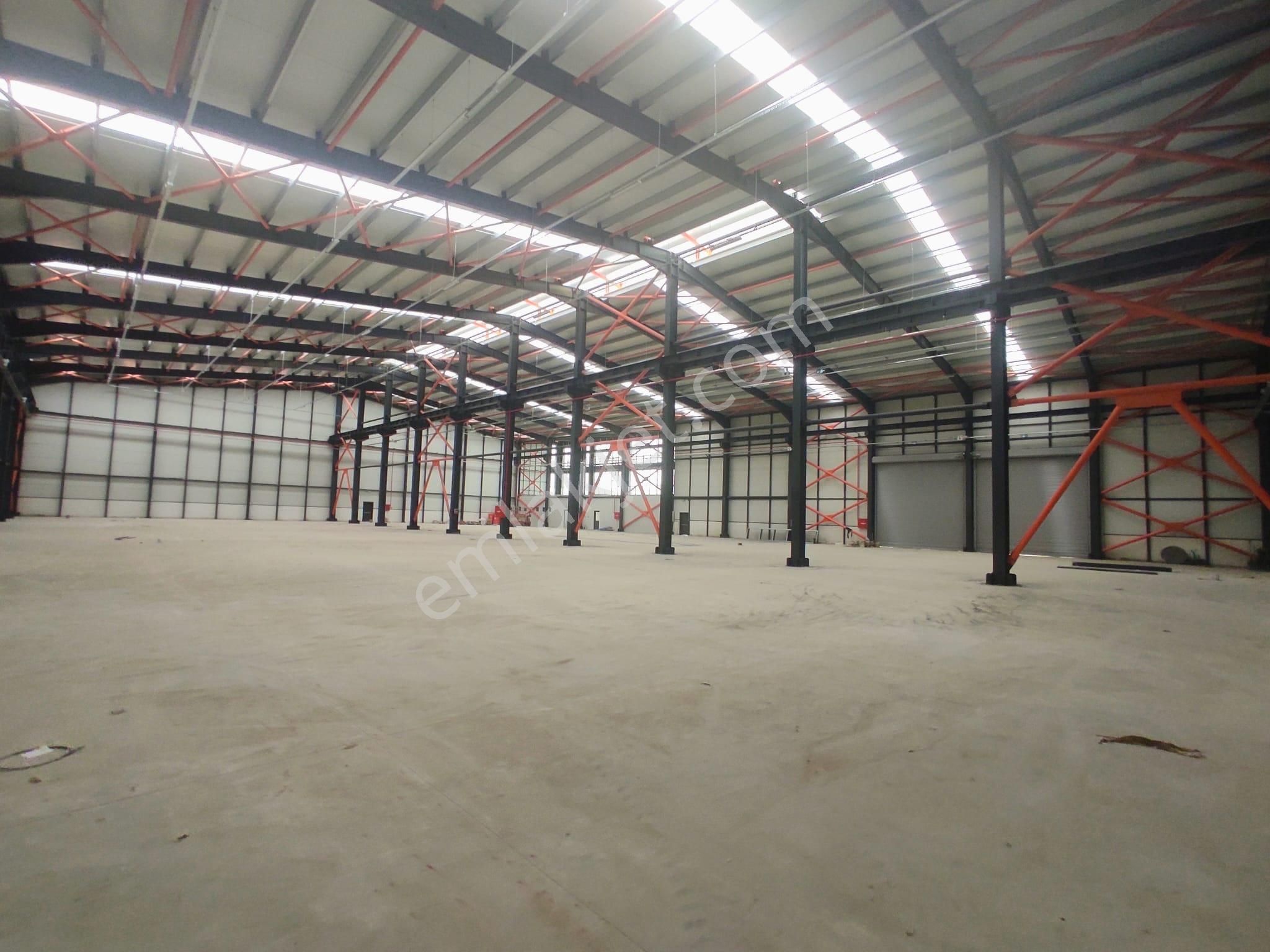 Sakarya Erenler Satılık 3.772 M2 Fabrika & Üretim Tesisi - Görsel 3