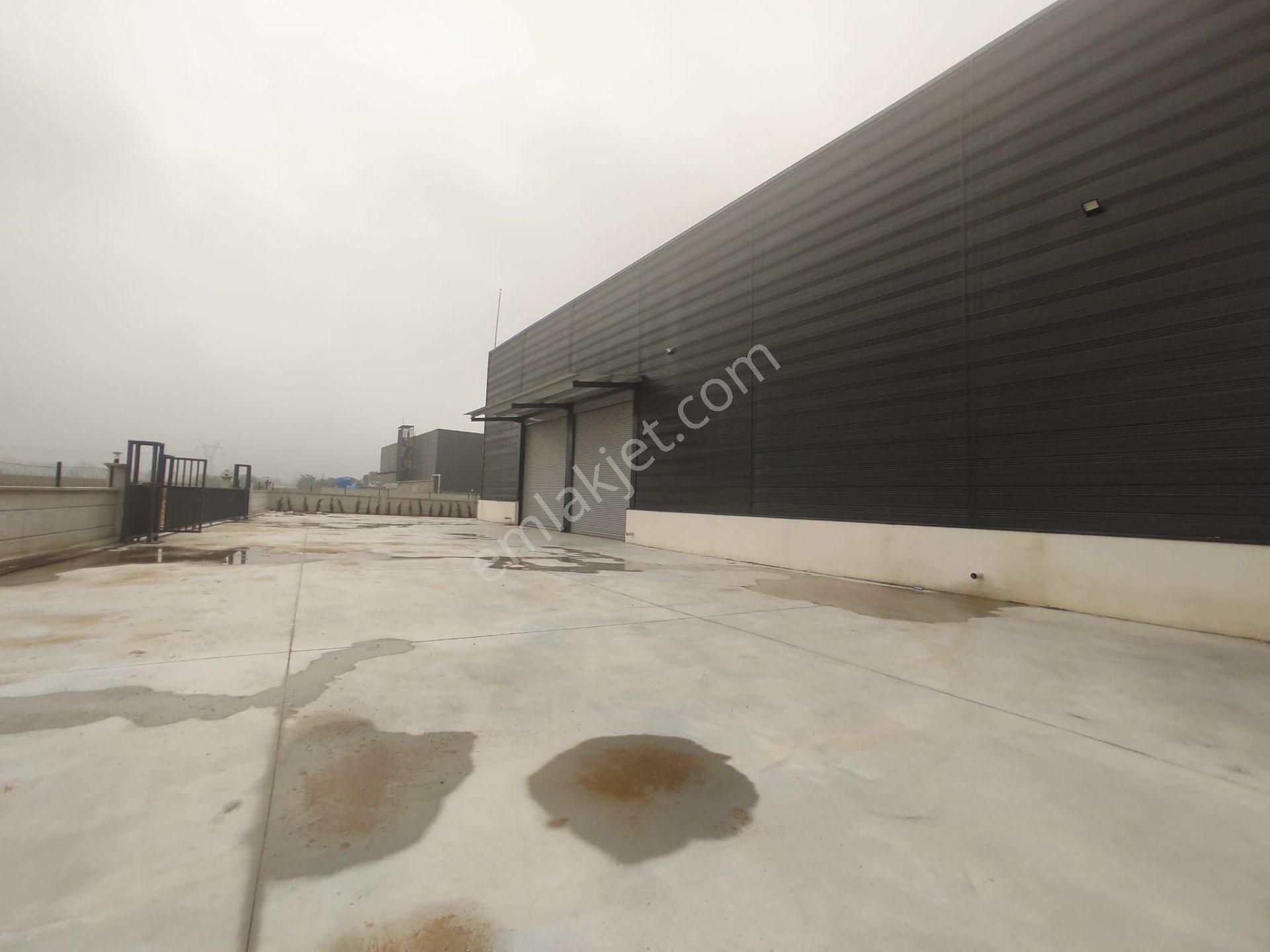 Sakarya Erenler Satılık 3.772 M2 Fabrika & Üretim Tesisi