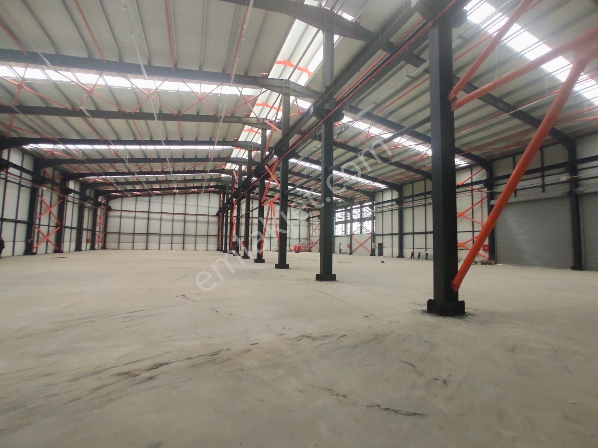 Sakarya Erenler Satılık 3.772 M2 Fabrika & Üretim Tesisi - Görsel 4