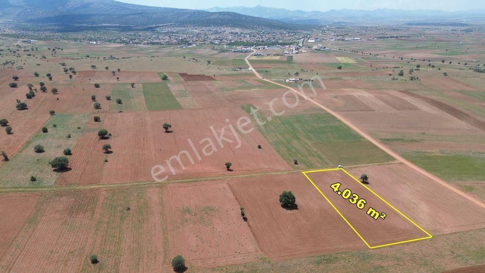 Akören Hacılar Da 4.036 M2 Müstakil Tapulu Tarla - Görsel 4