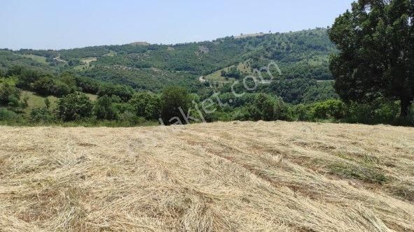 Lir Den Çanakkale Biga Kazmalı'da 2800 M2 Satılık Tarla - Görsel 2