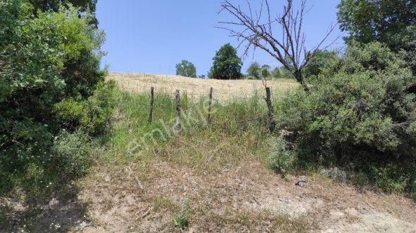 Lir Den Çanakkale Biga Kazmalı'da 2800 M2 Satılık Tarla - Görsel 6