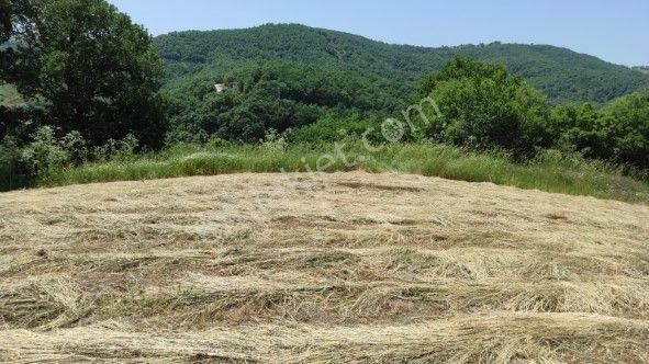 Lir Den Çanakkale Biga Kazmalı'da 2800 M2 Satılık Tarla - Görsel 3