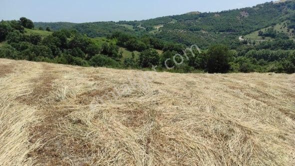 Lir Den Çanakkale Biga Kazmalı'da 2800 M2 Satılık Tarla - Görsel 4