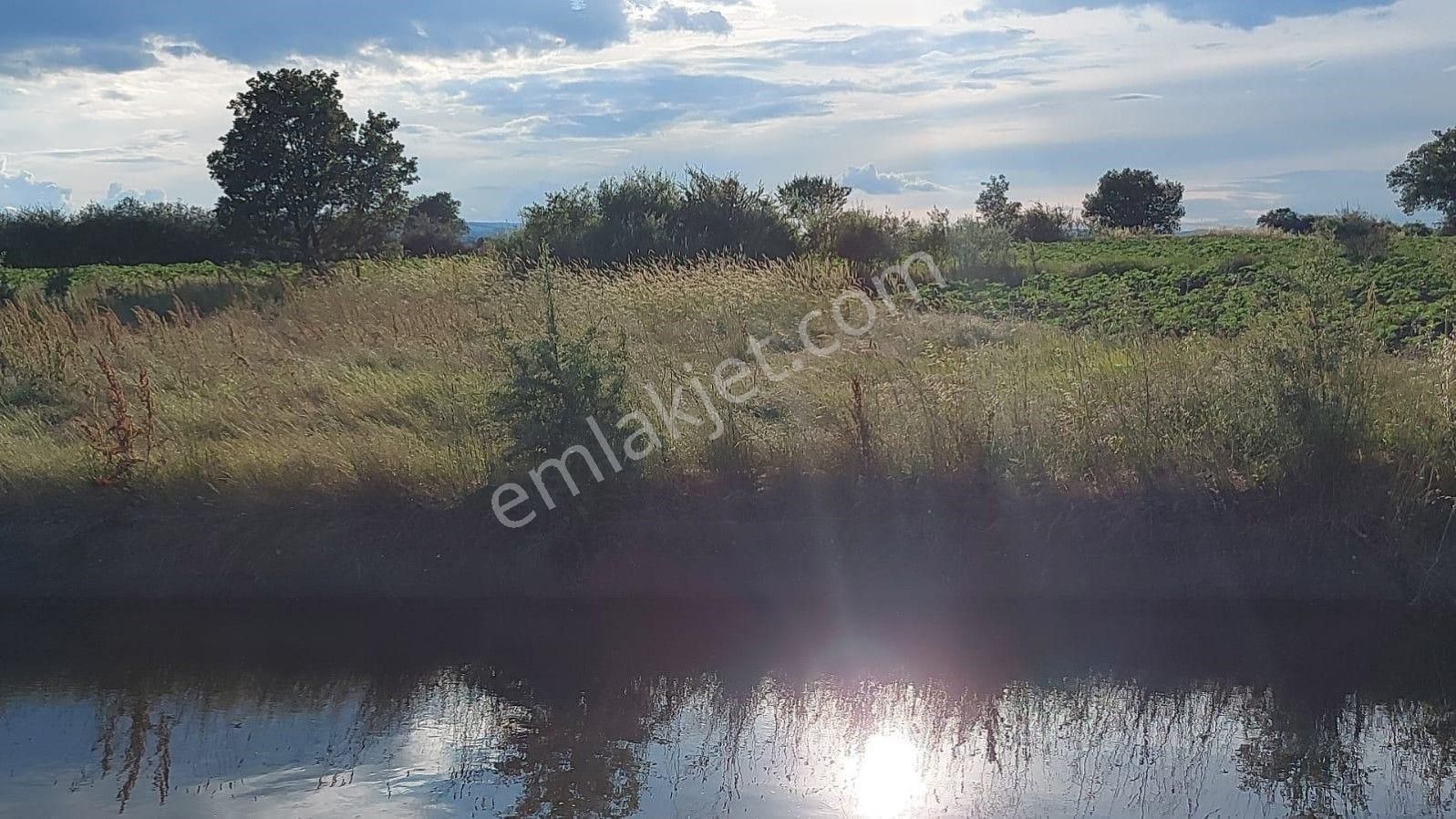 Lir Den Çanakkale Biga Pekmezli De Satılık Müstakil Tarla - Görsel 2