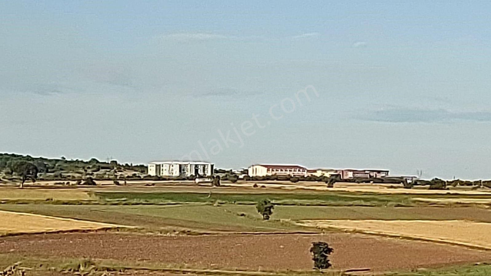 Lir Den Çanakkale Biga Pekmezli De Satılık Müstakil Tarla - Görsel 5