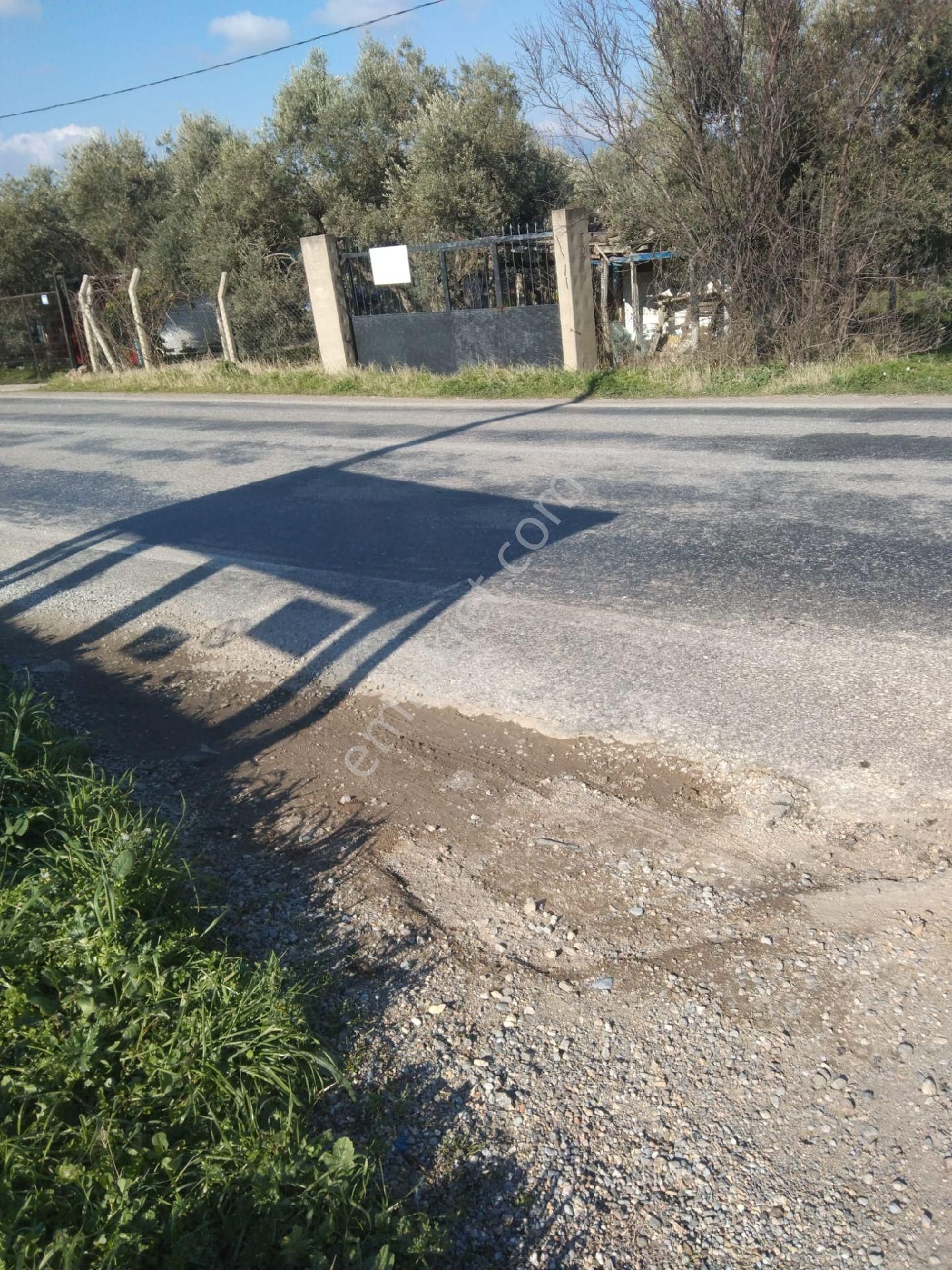 Satılık Tarla - Görsel 7