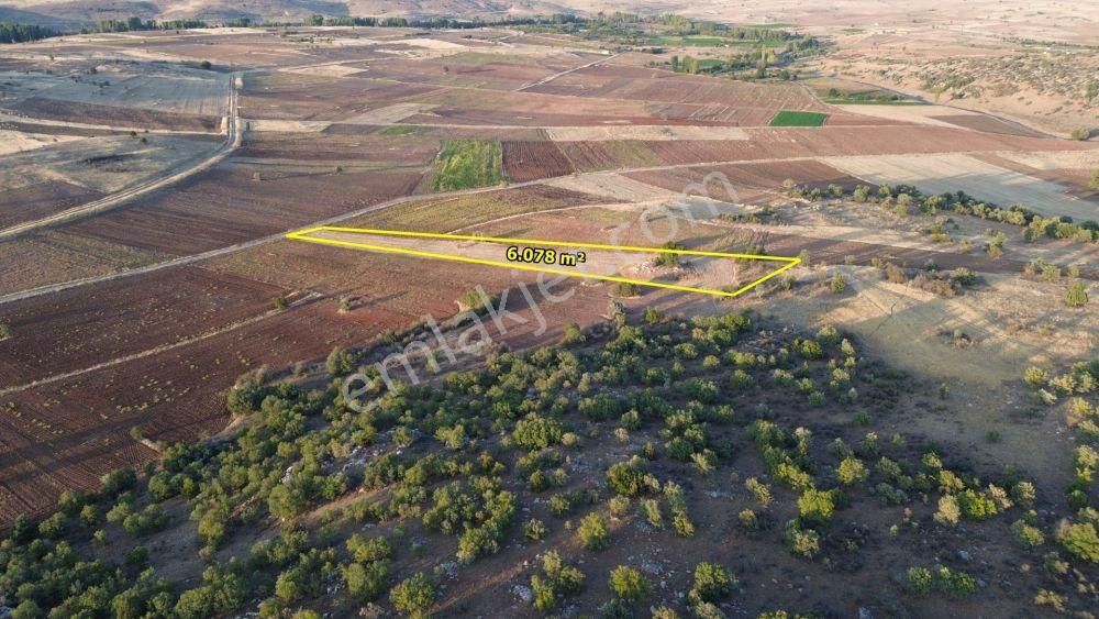 Akören Tülce De 6.078 M2 Müstakil Tapulu Tarla - Görsel 5