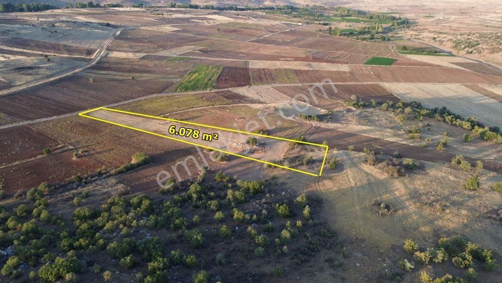 Akören Tülce De 6.078 M2 Müstakil Tapulu Tarla - Görsel 4