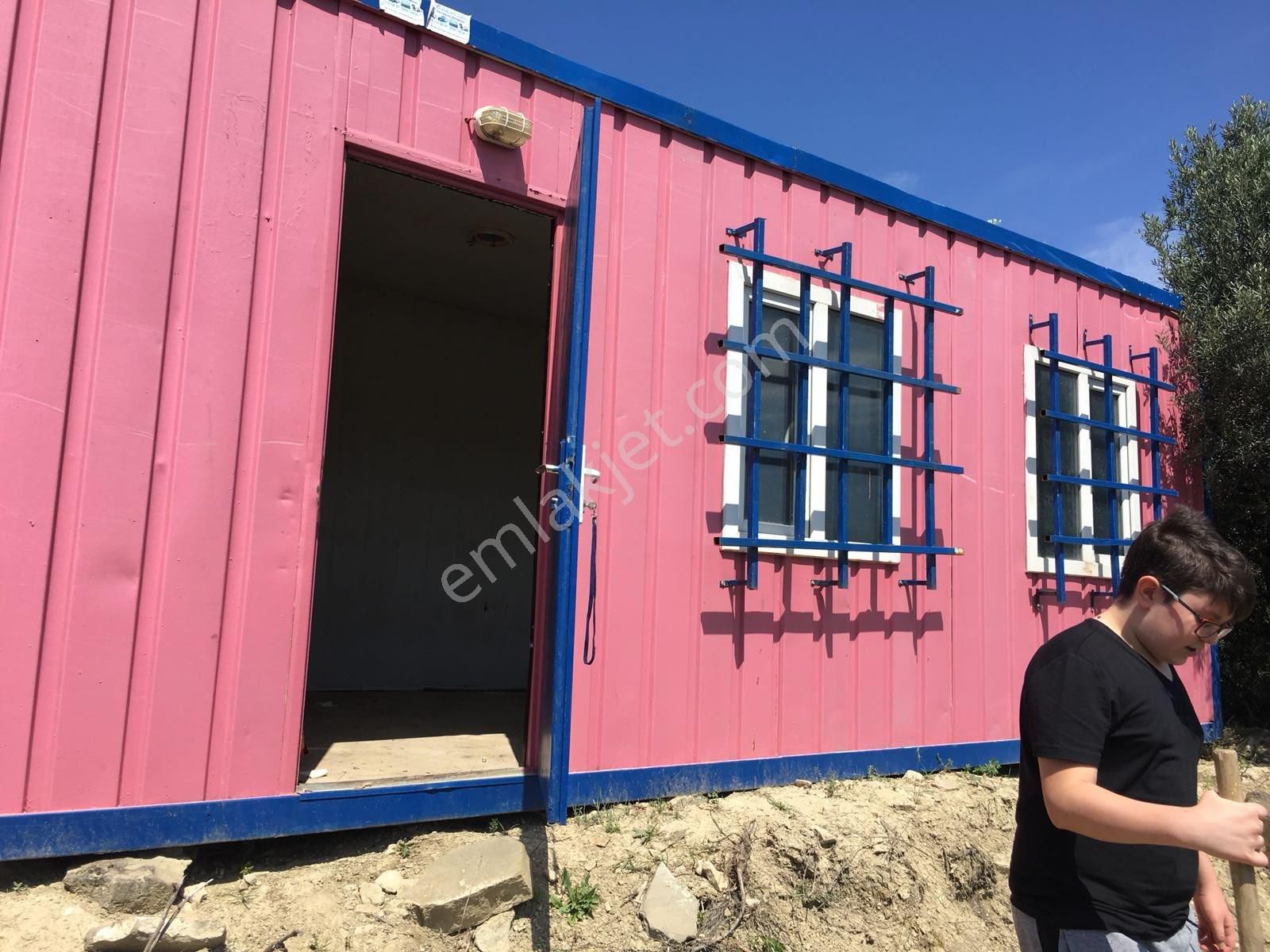 Üzerinde Konteynır Ve Zeytin Ağaçları