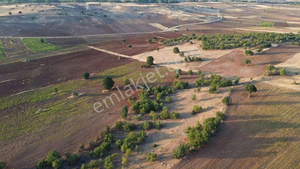 Akören Tülce De 7.423 M2 Müstakil Tapulu Tarla - Görsel 2