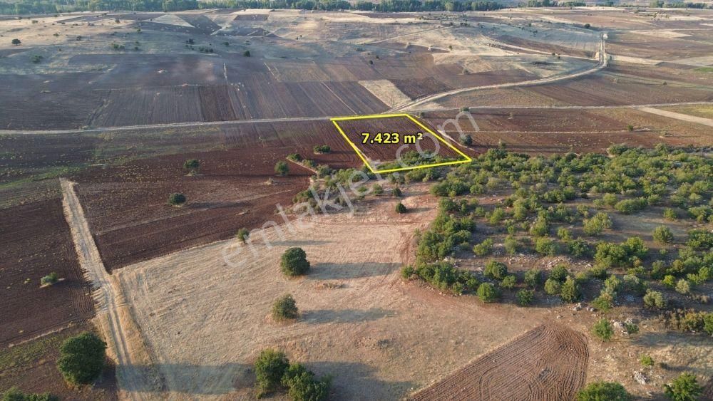 Akören Tülce De 7.423 M2 Müstakil Tapulu Tarla - Görsel 5
