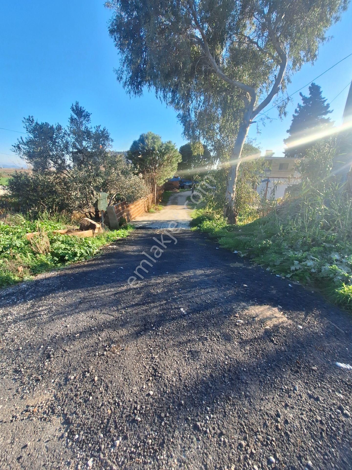 Satılık Müstakil Ev - Görsel 3